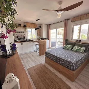  Appartement Sunrisemare Vacational